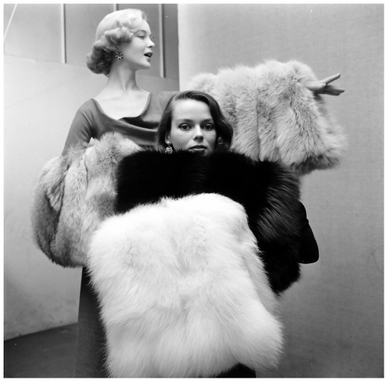 Fashions Long Haired Furs Life Magazine Gordon Parks 1952